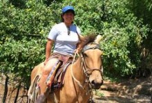 pacheco_pferd
