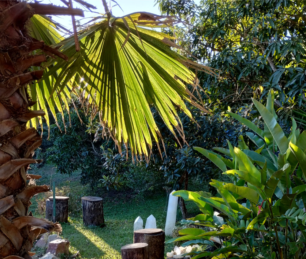 Feuerplatz Oasis de Luz